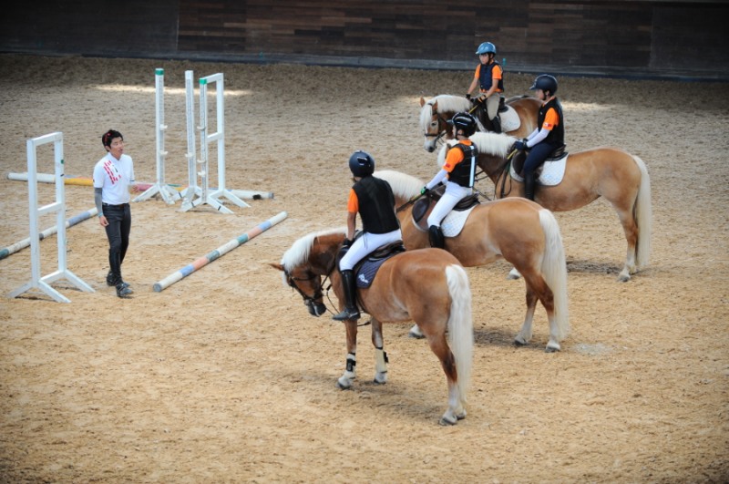 학교체육 승마_사진은 유소년 승마단 교육 현장