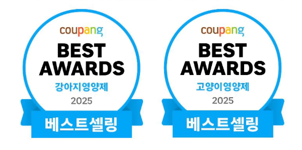 사진제공=노즈워크