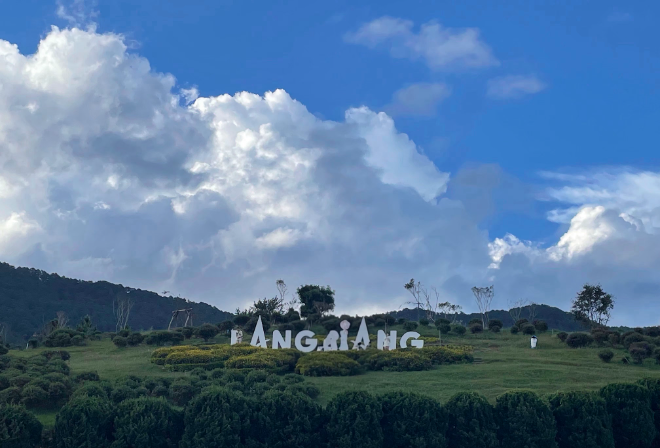 웹투어, 베트남 5일 일정 FULL옵션 상품...오전 자유시간 포함