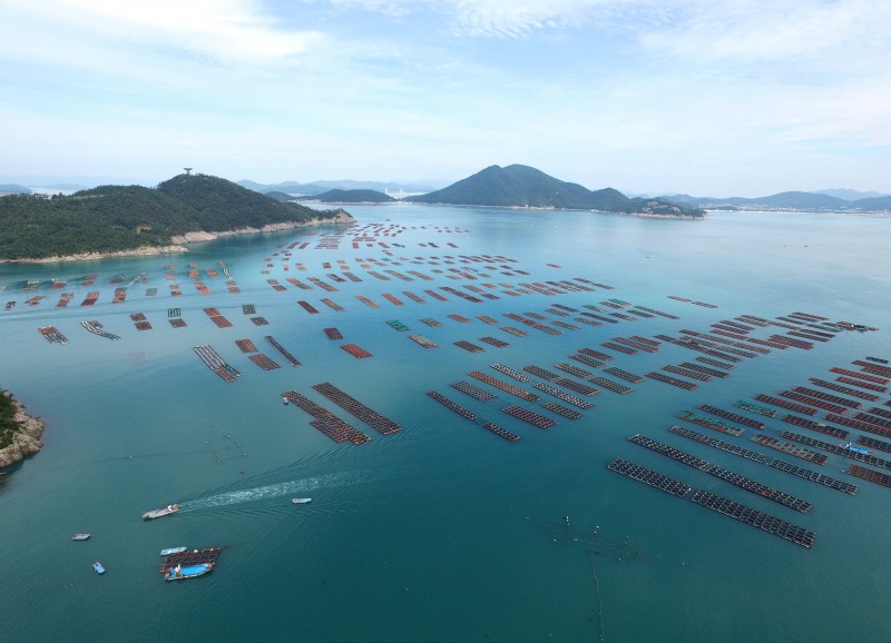 완도 전복 양식장 전경 (사진제공=완도군)