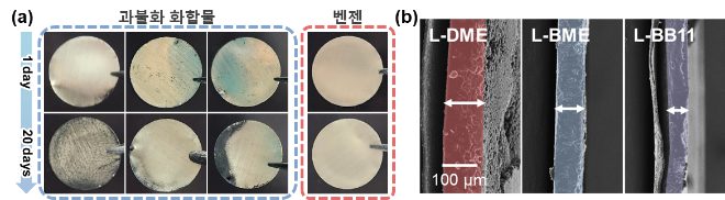 한양대 임희대 교수팀, 리튬 금속 전지 수명 늘리는 ‘부식 방지형 전해질’ 개발...차세대 금속 전지 성능 혁신을 위한 새로운 접근법 제시. (a) 여러 과불화 화합물들과 벤젠의 리튬에 대한 반응성 비교. (b) 각 전해질 별 리튬 성장 거동 비교 사진. (사진제공=한양대)