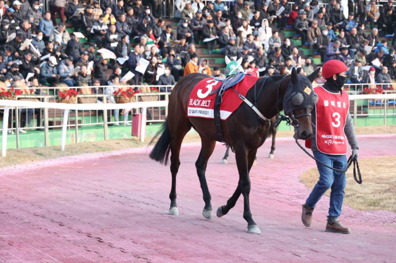 블랙벨트_25년11월30일 그랑프리