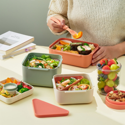 락앤락, 데일리 투고 도시락 시리즈