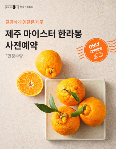 현대그린푸드 그리팅몰 '제주 마이스터 한라봉' 사전 예약