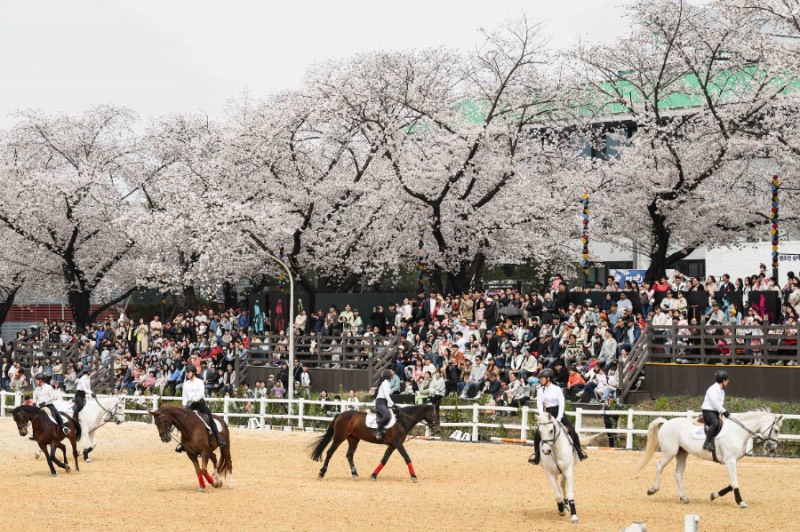 과천시민의 일상 속 열린 공원, 렛츠런파크 서울