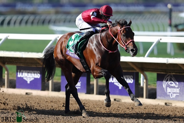 아시아부터 유럽·미주까지... 신년맞이 전 세계 경마 소식