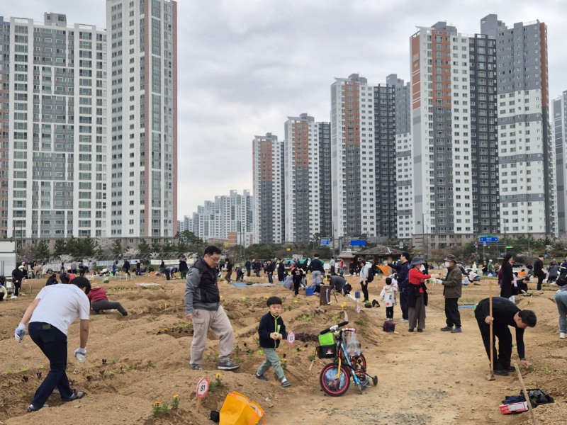 시민행복텃밭 현장