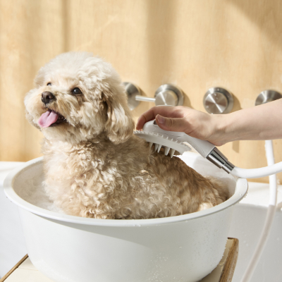 신세계까사의 라이프스타일 브랜드 ‘자주(JAJU)’가 간식부터 그루밍 · 위생 용품까지 반려동물 전용 생활용품을 출시, 빠르게 성장하고 있는 펫 시장을 공략한다. 사진은 ‘자주 반려동물 마사지 샤워 헤드’.(사진 출처 = 신세계까사)