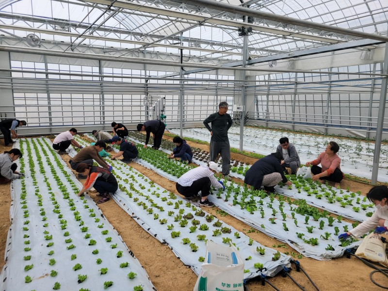 지난해 기초영농기술교육 (사진제공=담양군)