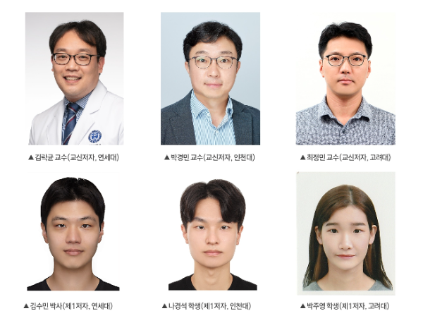 (왼쪽 윗줄부터) 김락균 연세대학교 의과대학 의생명과학부 교수, 박경민 인천대학교 교수, 최정민 고려대학교 교수, 김수민 연세대 박사, 나경석 인천대 학생, 박주영 고려대 학생 (사진 제공=강남세브란스병원)