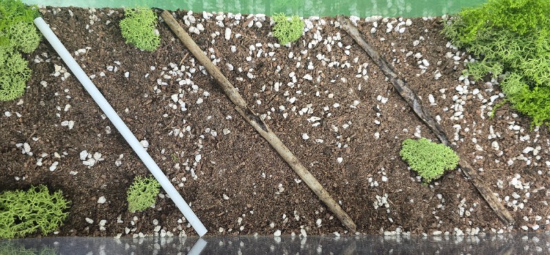 글로빅스, 상온 생분해 기술 공개…플랫폼 구조 기반 공급망 확장 추진