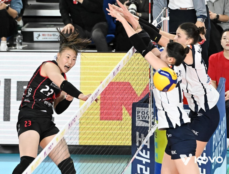 정관장 박여름, 개인 최다 20득점·공격성공률 40.9%…공수 양면 맹활약