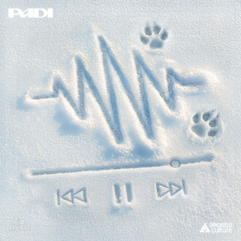 페디, 오늘(23일) 첫 EP ‘Press Winter’ 발매…겨울 무드 집약한 믹스테이프