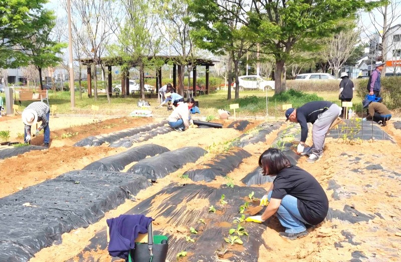 나주시 공영 텃밭 (사진제공=나주시)