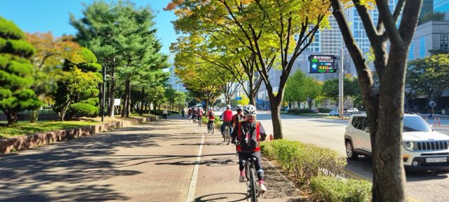 자전거 상설교육 운영