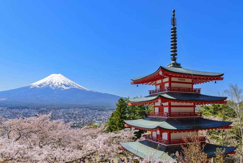 교원투어 여행이지, 봄 시즌 도쿄 근교 패키지_아라쿠라야마 센겐 공원