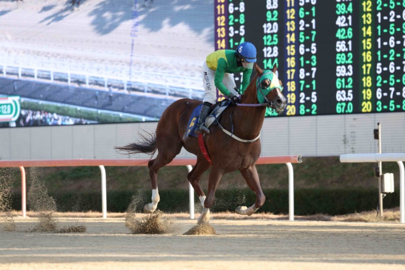 위너클리어(25년 11월 30일 KRA스프린트@영남 우승모습)