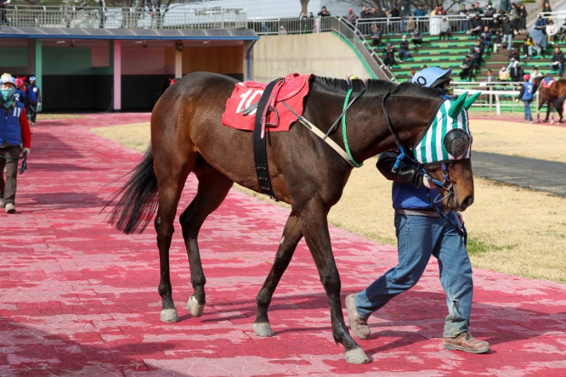 영광의월드 (25년 4월 13일 SBS 스포츠스프린트 예시장)
