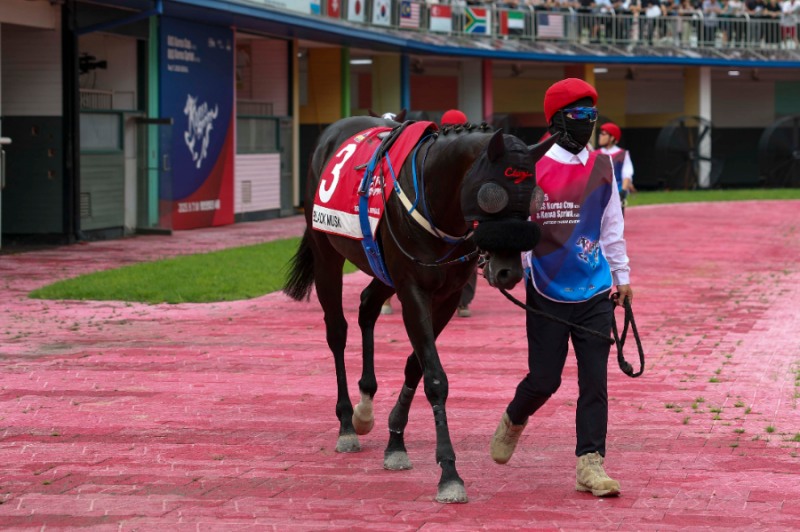 블랙머스크 (25년 9월 7일 코리아스프린트 예시장)