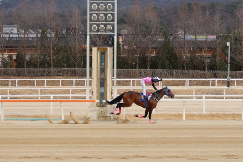 로쉬와 장추열기수 결승선 통과하는 모습