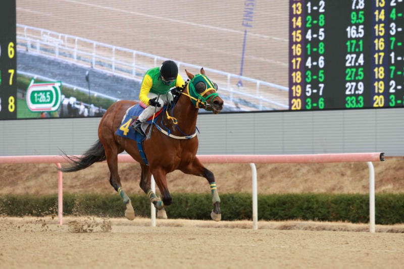 우승마 4번 클러치위너와 서승운 기수의 결승선 모습
