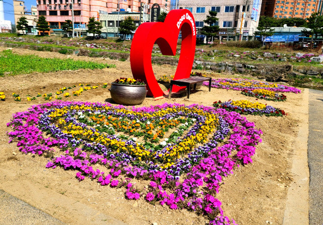 아산시, 봄맞이 '깨·깔·산·멋 3.0' 종합 도시정비 시행