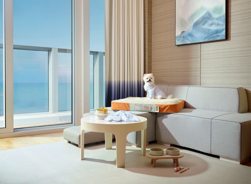 시그니엘 부산, ‘국제 강아지의 날’ 맞아 펫캉스 혜택 강화