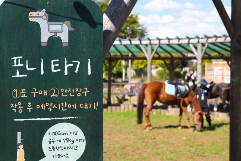 한국마사회, 렛츠런파크 서울 ‘포니체험’ 14일부터 재개