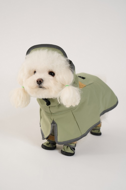 반려동물 라이프스타일 브랜드 ‘이그니테일(Ignitail)’ 펫쇼코리아 참가.. 친환경 반려용품 가치 알린다