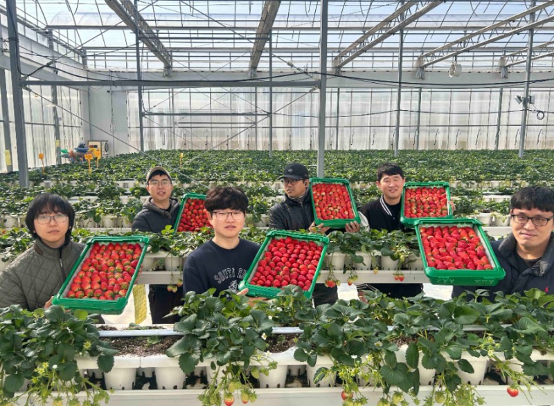 경북 의성의 진한딸기 공선회 청년 농부들이 상품과 함께 사진 촬영하고 있다.