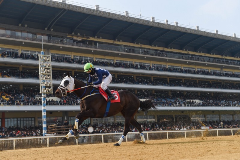 제24회 헤럴드경제배에서 우승한 클린원과 서승운 기수
