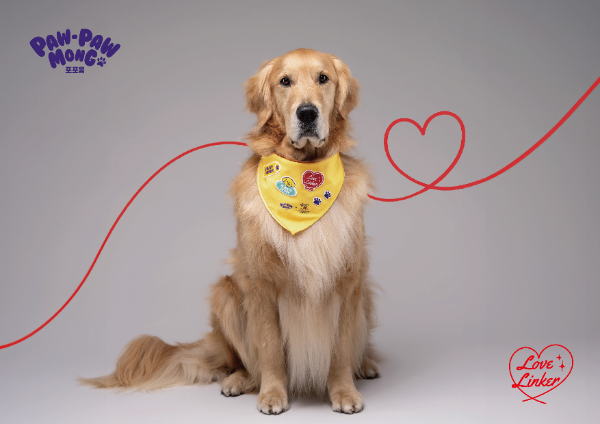 깨끗한나라 포포몽 ‘러브 링커’ 캠페인 제1호 헌혈견 ‘크림이’ (사진 제공=깨끗한나라)