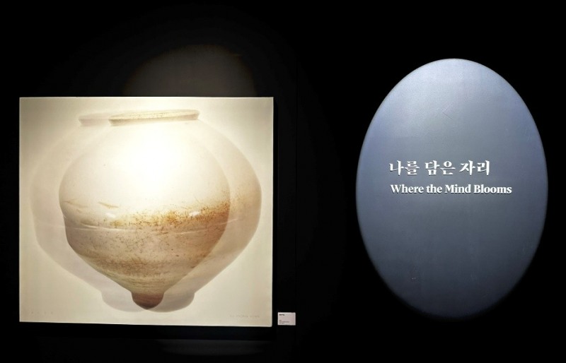 전통 백자의 현재…모다갤러리, 달항아리 회화·도자 교차 전시 용산서 열려