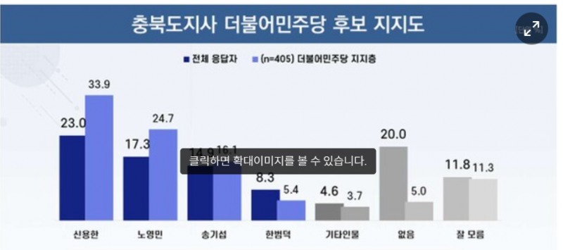 충북도지사 더불어민주당 후보 지지도. 자료=리얼미터