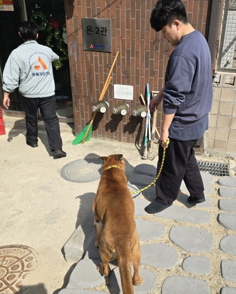 ▲ 코레일유통 경인본부가 23일 유기동물 돌봄 활동을 하고 있다.