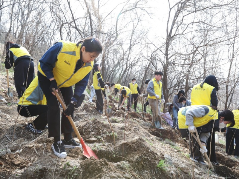 동서식품, 상암동 노을공원서 나무심기 봉사활동 진행