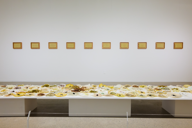 플레이스씨, PS CENTER와 협업 전시 ‘Sensescape’ 선보여