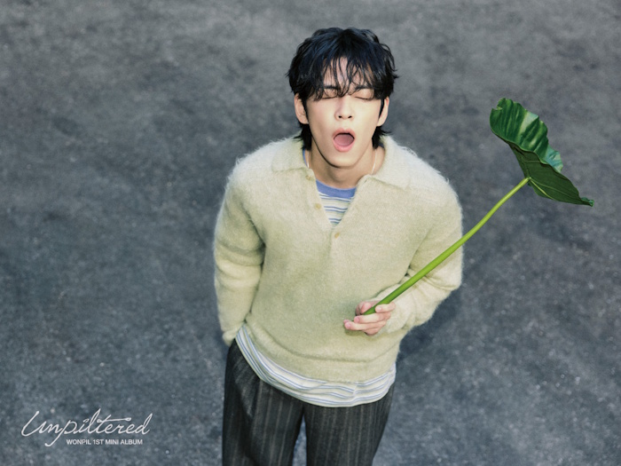 DAY6 원필, 새 솔로 앨범 ‘Unpiltered’ 글로벌 리스너 호평…다채로운 프로모션 진행