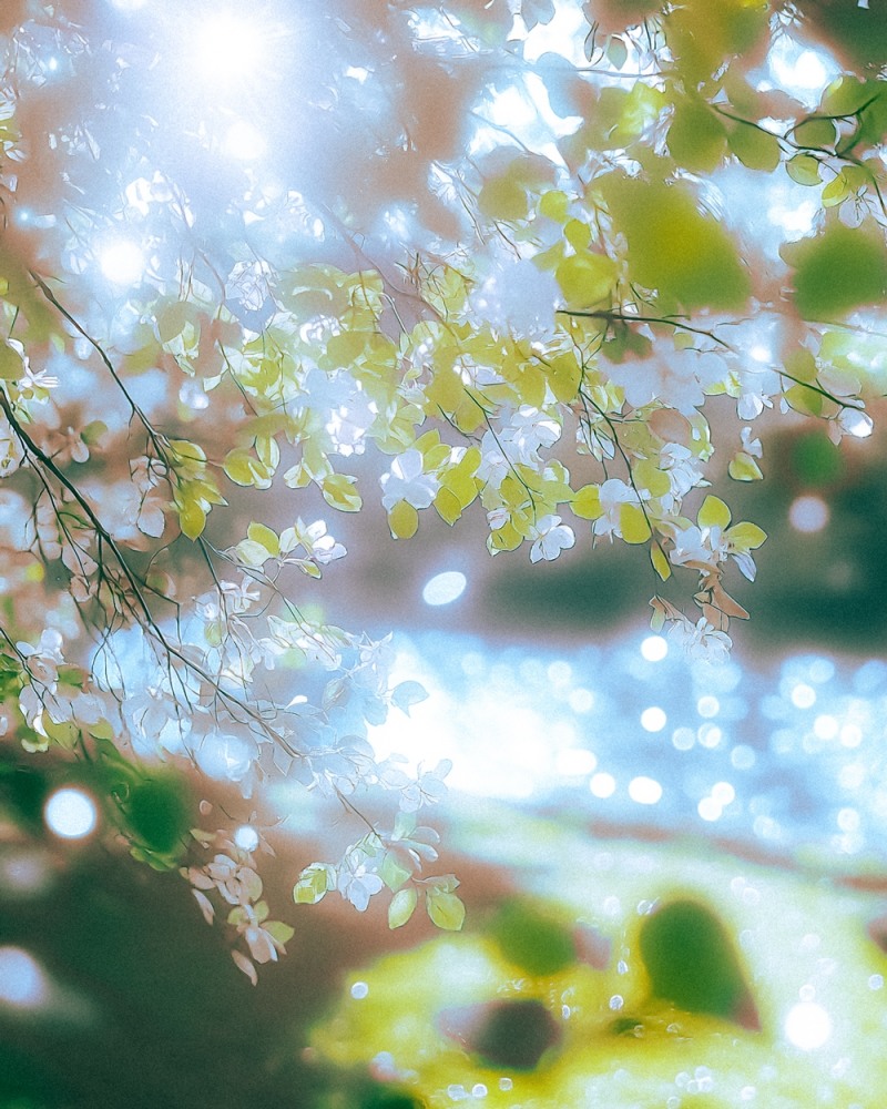 거미, 봄 감성 티저로 새로운 음악 여정 예고 ‘궁금증 UP’