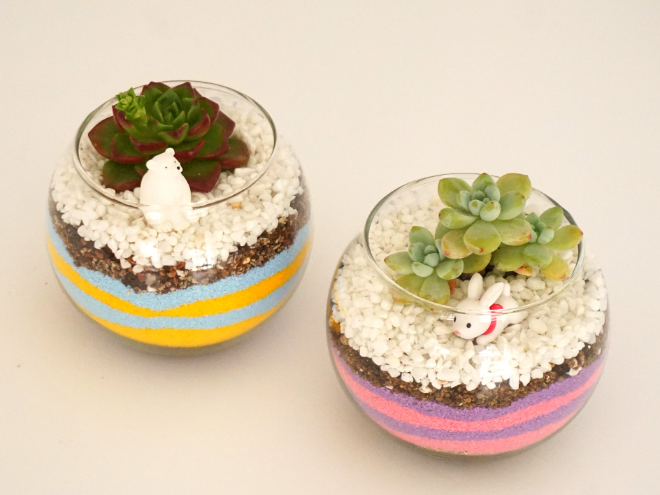 테라리움 만들기 참고 사진. (사진출처_육식자매 / 사진제공=남산골한옥마을)