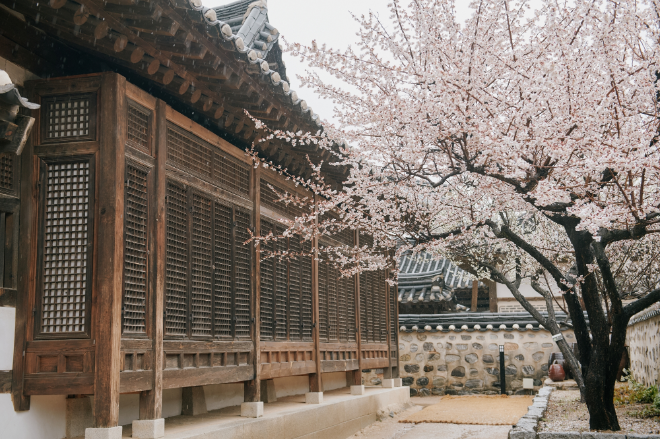 남산골한옥마을 봄 풍경. (사진제공=남산골한옥마을)