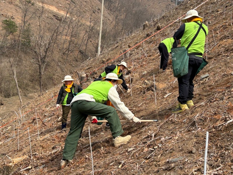 풀무원, 제81회 식목일 기념 나무심기 행사 참여
