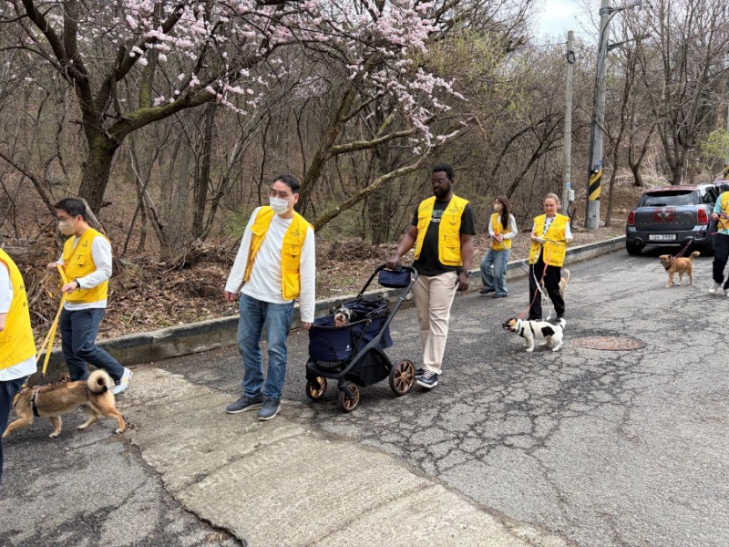네츄럴코어, ‘글로벌 프렌즈 봉사단’으로 ‘유기동물 케어와 해외 입양까지’ 잇는다