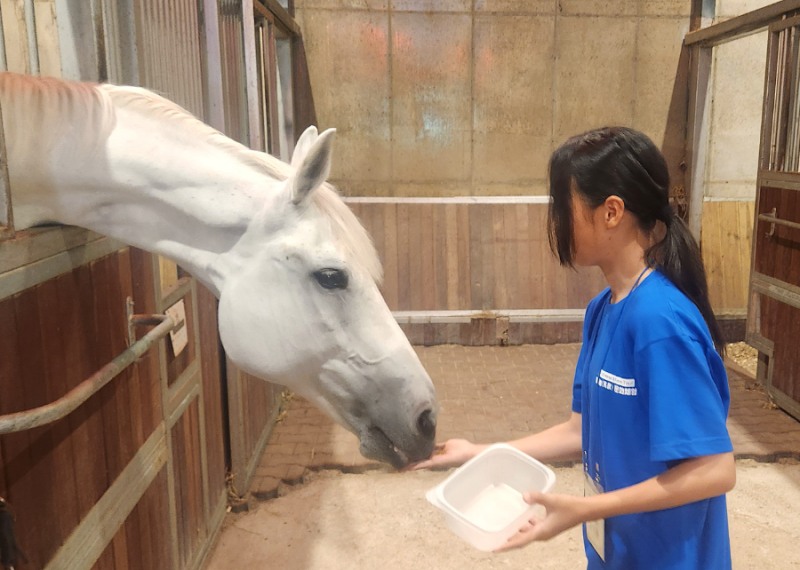 한국마사회 사회공헌재단, 수도권 초등학생 대상 마·농(馬·農) 문화체험 참가 신청 접수