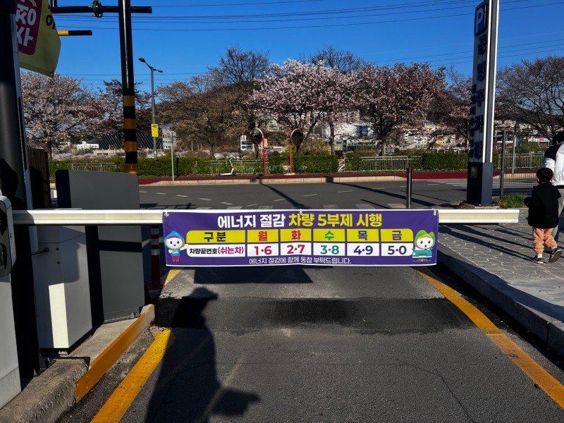 공영주차장 승용차 5부제 시행