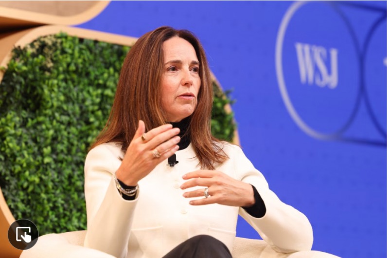 새러 프라이어 오픈AI CFO는 8일(현지시간) CNBC와의 인터뷰에서 기업공개시 개인투자자들에게 주식 일부를 배정할 계획이라고 밝혔다. 사진=월스트리트저널(WSJ)