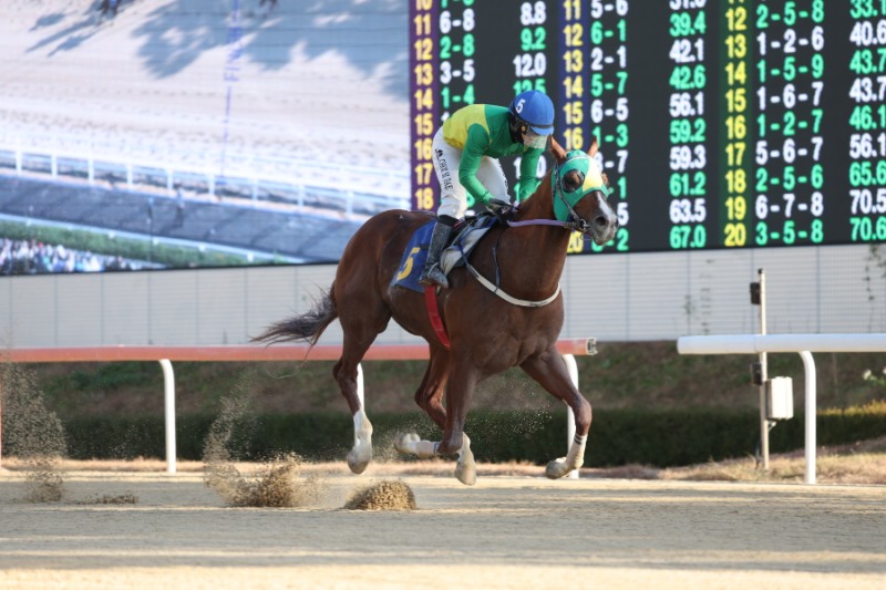 제34회 SBS스포츠 스프린트 개최, ‘빈체로카발로’ 독주 이어지나