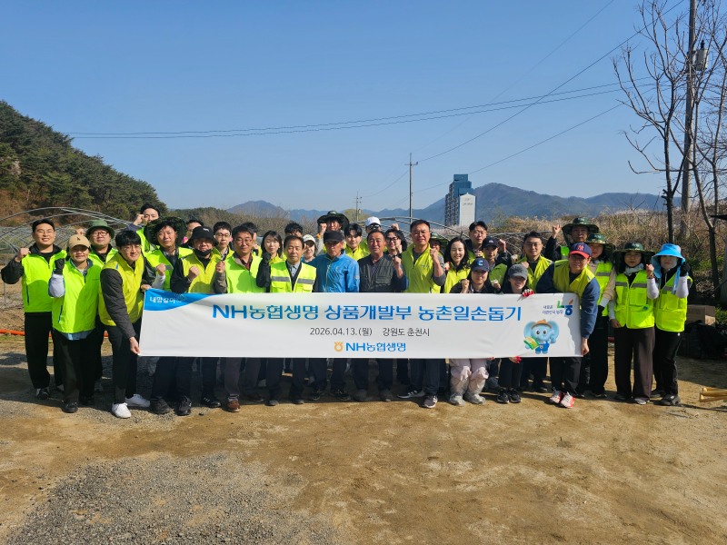 지난 13일 NH농협생명 상품개발본부 임직원들이 강원도 춘천시 소재 호박농가에서 농촌일손돕기 활동을 실시했다./NH농협생명