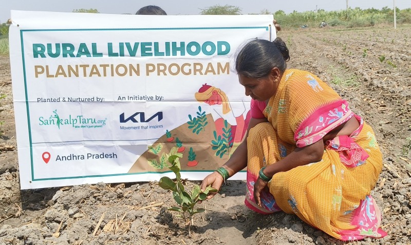 기아가 인도에서 실시한 ‘우파르 캠페인’에 참가한 현지 여성이 황무지에 묘목을 식재하고 있다./현대자동차그룹