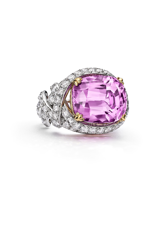 티파니앤코, 블루 북 2026 ‘히든 가든’ 봄 컬렉션 공개…자연의 숨겨진 경이 담다